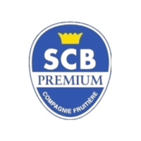 SCB